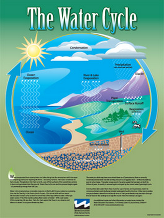 Water Cycle Poster
