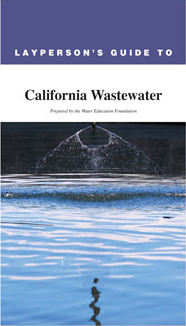 Layperson's Guide to California Wastewater