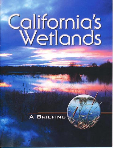 California's Wetlands: A Briefing
