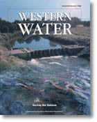Saving the Salmon - January/February 1998