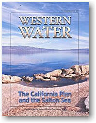 The California Plan and the Salton Sea