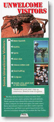 Unwelcome Visitors Slide Card
