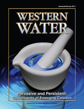 Pervasive and Persistent: Constituents of Growing Concern - January/February 2011