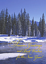 Winter Forest Greeting Card